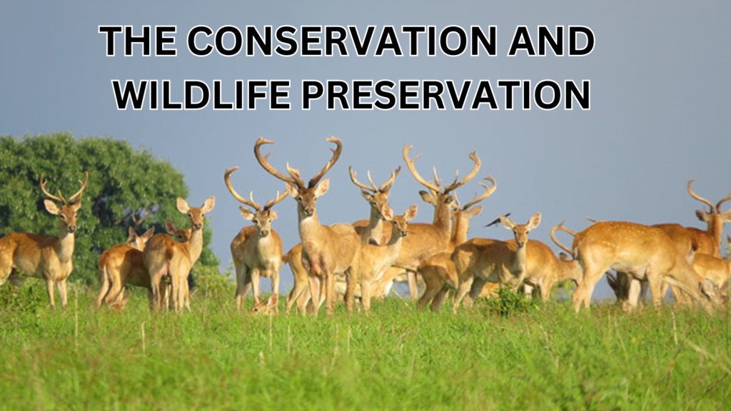 the conservation and wildlife preservation